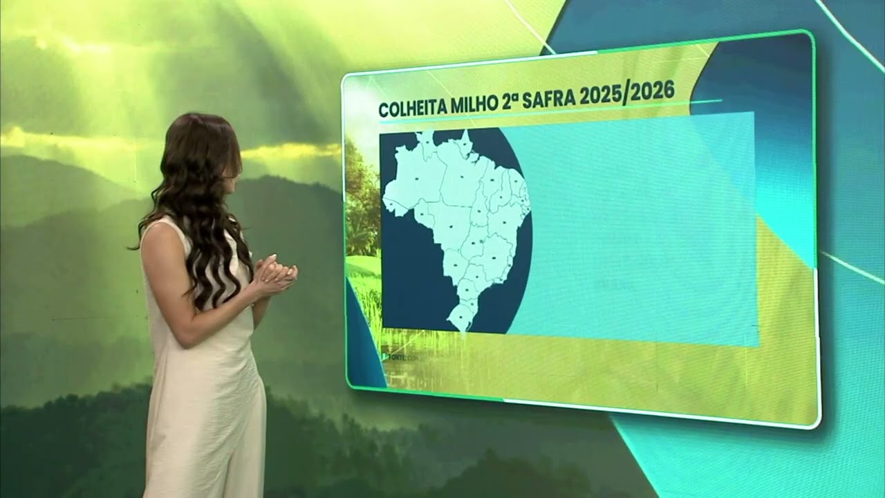 Colheita do algodão e do milho avança nas principais regiões produtoras