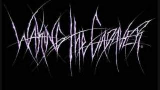 Waking The Cadaver - Always Unprotected