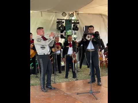 Video de MARIACHI ROSALES OFICIAL DE CESAR