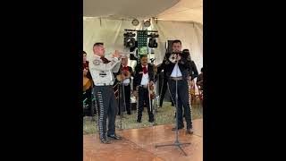 Mariachi Rosales Oficial de Cesar
