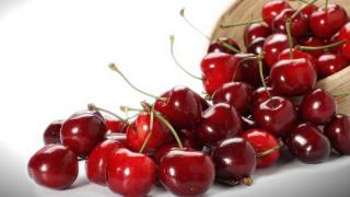 My Personal Rules For Discussing The Bible