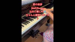Download lagu ＃愛の挨拶＃Salut D'amour＃Elgar #弾いてみた mp3