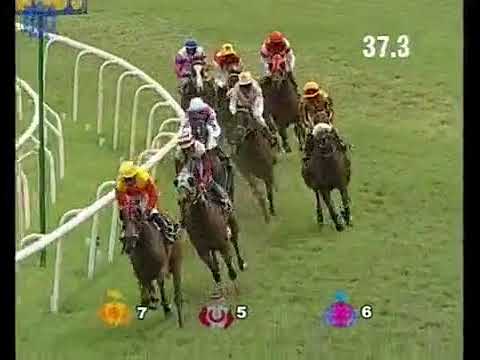 (182) The Champion Jockey Cup, Aug 10, 2018 WINNER: SILKEN STRIKER