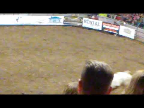 LJ Jenkins world finals 1(6)