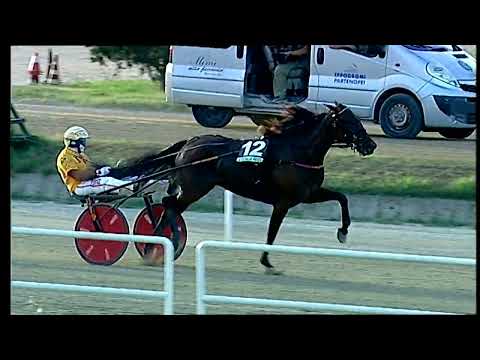 Napoli Trotto 03/07/2022 - 1ª corsa