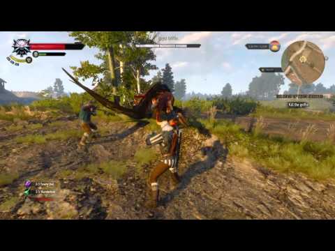 The Witcher 3: Wild Hunt Royal Griffin