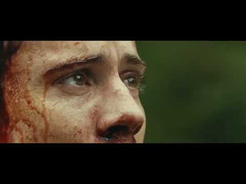 King kong Vs lula gigante