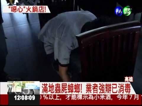 噁心火鍋店! 滿地蟲屍 咖啡竟結凍