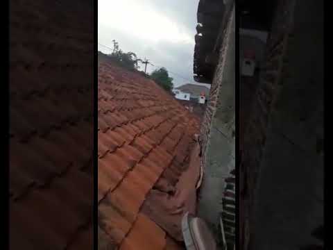 NGINTIP BOCIL DIATAS GENTENG