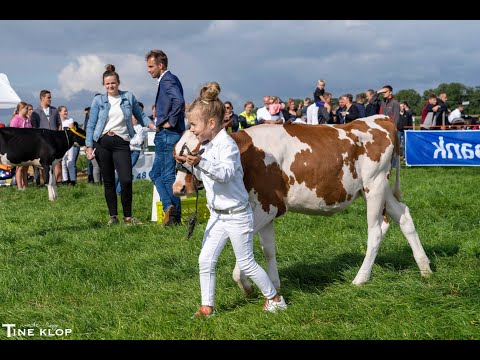 Jongveedag Streefkerk 2025