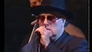 Van Morrison - Live, In The Afternoon (best live,  San Sebastian)