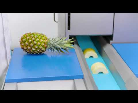 GS10-2 Belt Cutting Machine - Kronen