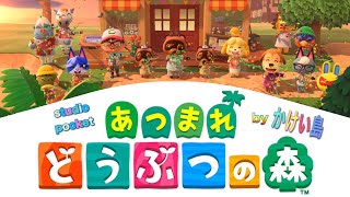 【あつまれどうぶつの森】あつ森 Nintendo Switch 2020年3月20日発売 #Japanesegame #studioPocket