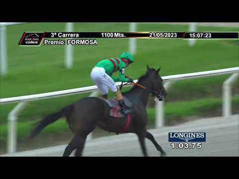 230521 c03 - CORAZON FELIZ - HIPODROMO DE MARONAS