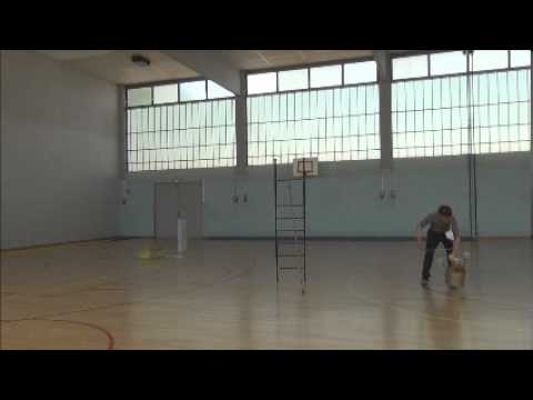 Franck pinard échelle libre