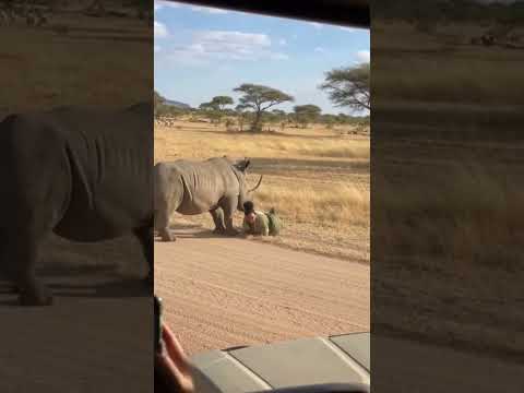 This Moment Shows Why Awareness Matters in the Savannah