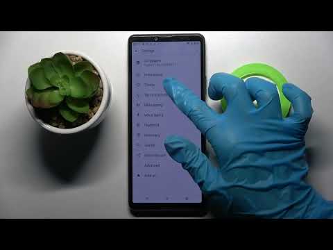 How to Turn On / Turn Off the Automatic Typing Correction on the SONY Xperia 10 III