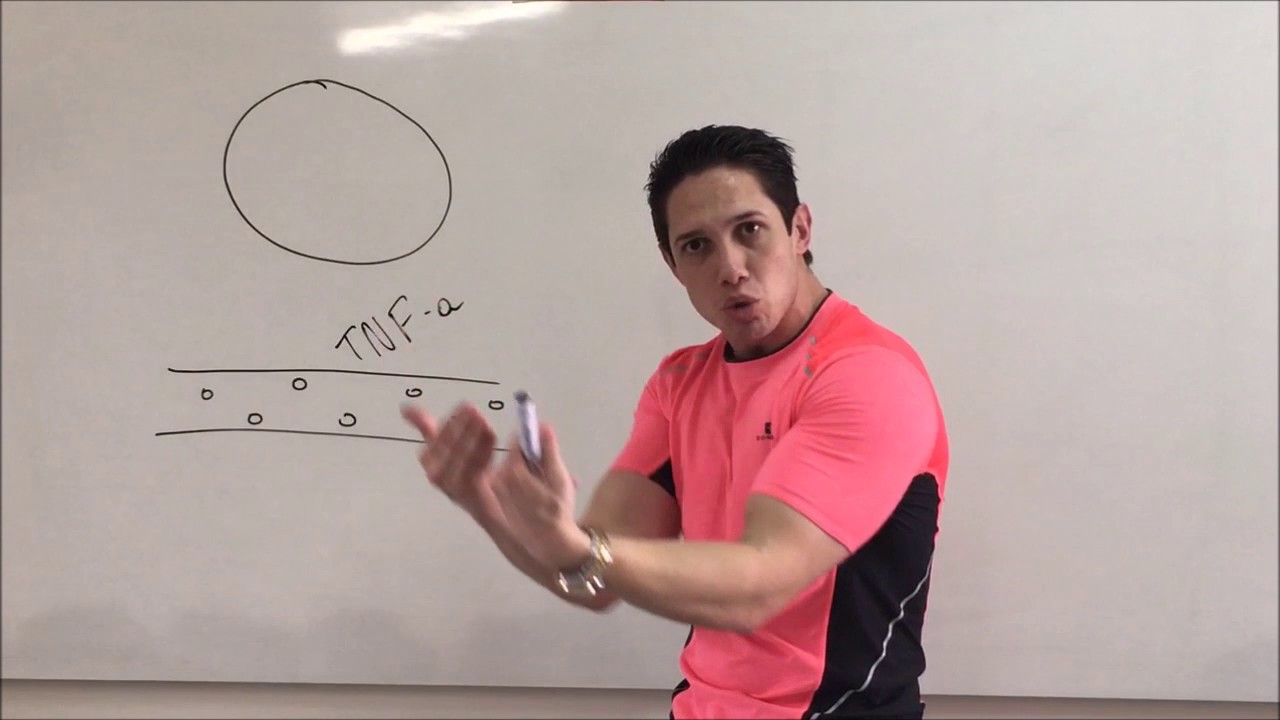 Diabetes e Doenças Cardiometabólicas