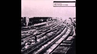Squarepusher - Eviscerate