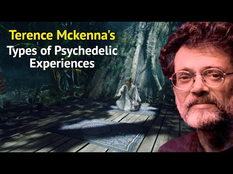 The types of Psychedelic Experiences [Must Watch]