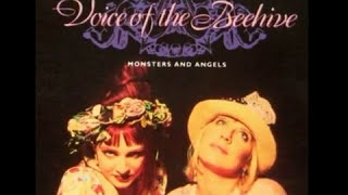 Pocketsize (b-side) - Voice Of The Beehive  *Audio*