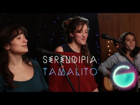 Serendipia - Tamalito