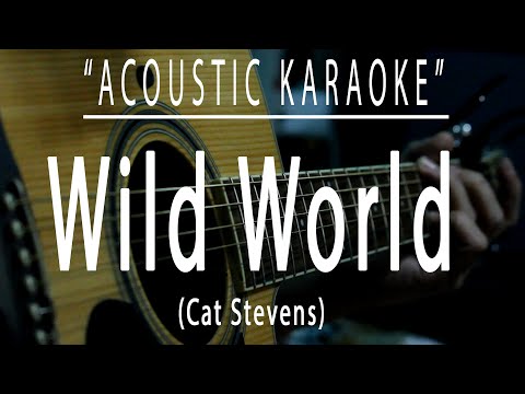 Wild world - Cat Stevens (Acoustic karaoke)