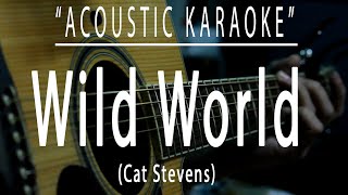 Download lagu Wild world - Cat Stevens (Acoustic karaoke) mp3