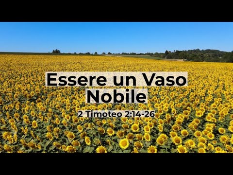 "Essere un vaso nobile" -2 Timoteo 2:14-26 - Breve Riflessione Daniele Ramunno