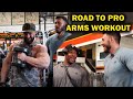 MY ROAD TO PRO CARD. STANIMAL. SHAWN. ARMS. 1 episode