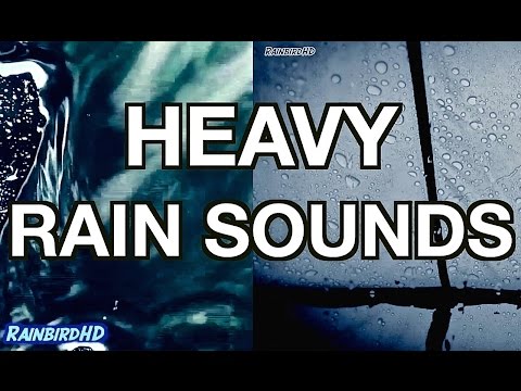 'Rain' 2 Hours of Heavy Rainfall and Thunder Sounds | High Quality Sleeping Sounds