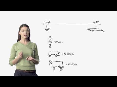 Logarytm i skala logarytmiczna