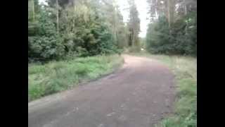 Radek Typa - TESTY / Runowo.