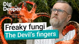 Facehugger? Demogorgon? The Devil&#39;s fingers? | Dig Deeper episode 15 | Kew