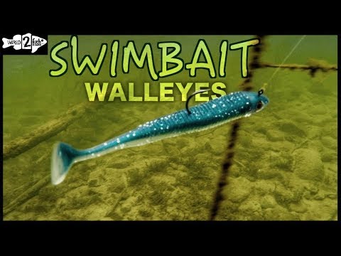 YouTube video about: How to fish walleye assassins?
