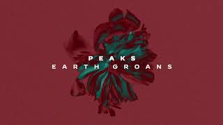 Peaks Music Video