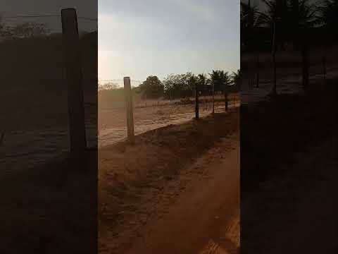A caminho da roça. Sebastião Laranjeiras-BA. 2026.