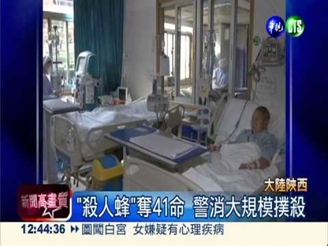 陜西馬蜂肆虐 狂螫千人奪41命