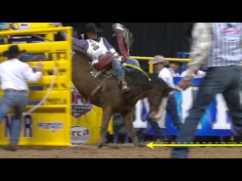 Rodeo 101 : Bareback Riding
