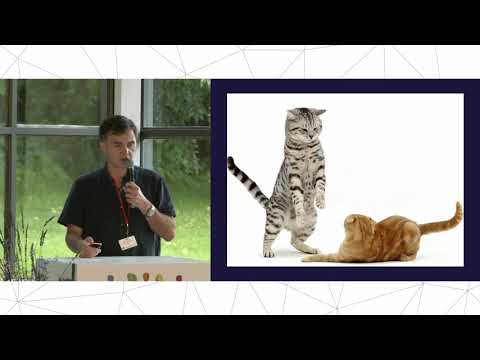 Sébastien Bohler, neuroscientifique - Où est le sens?