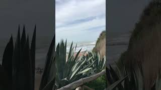 Anzio Italy ( Beautiful View )