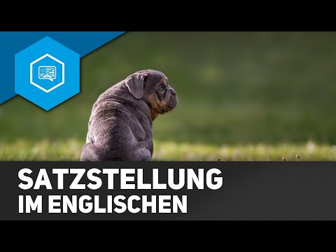 Satzstellung im Englischen
