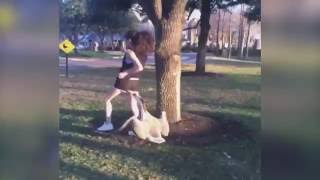 animale faza amuzanta gasti salbatice