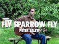 Fly Sparrow Fly - Peter Salett