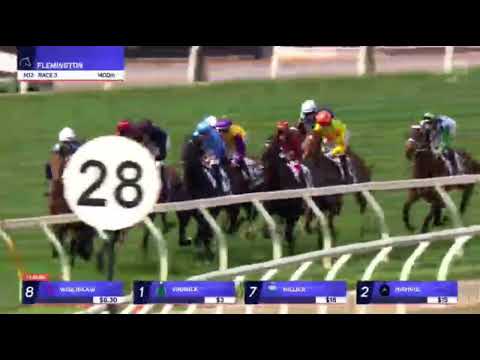 VINROCK | EXFORD PLATE LISTED 2025