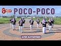 SENAM POCO POCO Aster Elfourteen