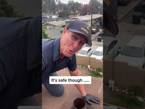 BEST Rat repellent on the Market ….. 🐀💨