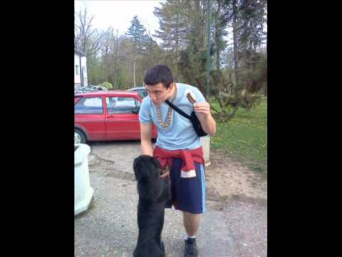 CoA D.N.K. - Dostojevski Brate 2012