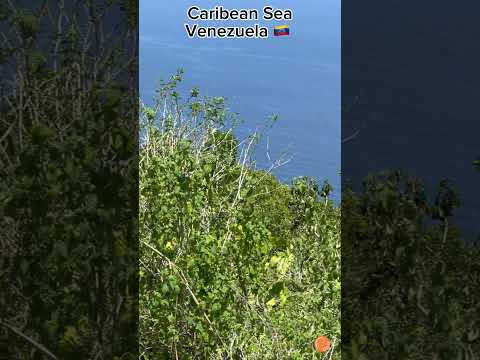 🇻🇪 LA COSTA DE ORO, Aragua, VENEZUELA #virtualtour #venezuela #aragua #cata #costadeoro