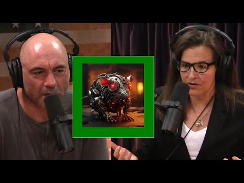 DARPA's Mind-Control Technology on Animals & Insects! | Joe Rogan Experience